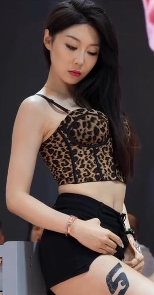 苏州改装车展 2025 GTSHOW 车模 65